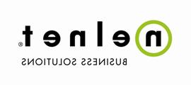 NelNet 业务 Solutions logo